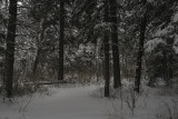 Rural Alberta