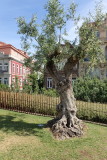 Tree Objects