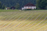 Une journée à la campagne.