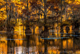 Early Morning Lights_MG_8971.jpg