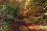 Parkend near Kelso