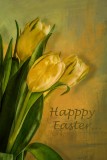 Happy Easter to all my PBase friends....sorry I am late
but have had guests over the weekend...
Still freezing cold here but happy that we haven't had
any more snow...
Thank you all for your visits and kind words...