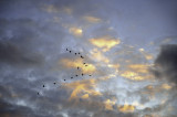 STORMS, CLOUDS AND LIGHTNINGS