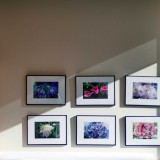 KONICA M-HEXANON 1:1.2/50 (M mount)