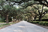 65072051hermann-rice0817-Edit.jpg