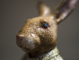 Glaze of the Hare
