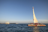 sebago cubed