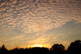 Bubbles and wisps of cloud , in a sunset.