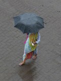 umbrellas