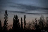 Landscapes