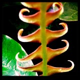 ANOTHER & DIFFERENT WORLD