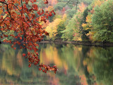 Couleurs Automnale / Fall colors