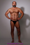 gay beards gallery.jpg