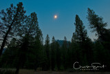 Boise National Forest - 8/21/2017 Great American Solar Eclipse - August 2017