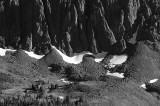 Black and White Montana