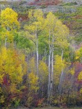 Utah Landscapes