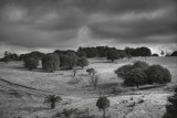 Landscapes in California
