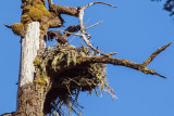 EagleNestRckprtStPrk1_062717.jpg