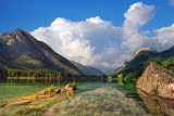 Alpine Scenery