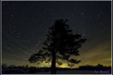 Cherry Springs State Park