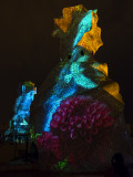 La Pedrera Light Show, Barcelona