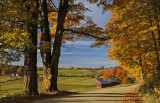 NEW ENGLAND FALL