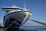 Diamond Princess DSC_6659