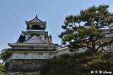 Kochi Castle DSC_8121.