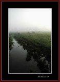 In the Charentonne river's valley