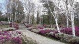 Kurpark Oberlaa