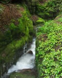 South Carolina Waterfalls