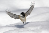 Soft Landing