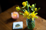 6th April 2018 spring surprise