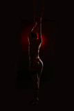 Billy Doll (contains nudity)