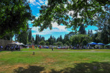 Fordnutz Show and shine 2017