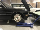IMG_8334.JPG