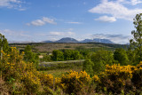 Scotland 2016