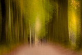 Between trees
