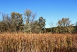 Landscapes