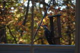 DSC01234 uncropped