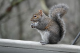 Not bad from a really small image