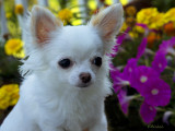 Bailey at One