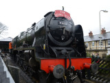 Royal Scot.