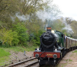 The Quantock Belle.