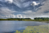 Lake at Country Park