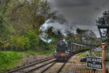 The Quantock Belle.