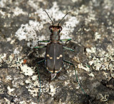 IMG_4165.JPG