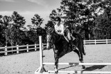 welborn_2018