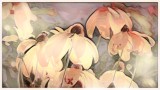 nutarchive_sep19_2018mur