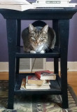 April 2012 to Now